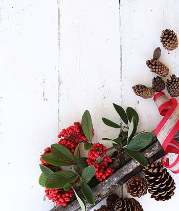 Flatlay featuring Christmas decor with pine cones, red berries, and ribbon on white wooden background. HD phone wallpaper