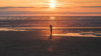 Silhouette Sunset Horizon Lonely Girl, silhouette, girl, graphy, sunset HD wallpaper