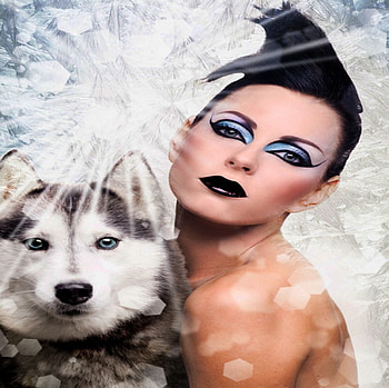 A BEAUTY AND HUSKY, husky, snow, eyes, lips, friends, beauty, ice HD wallpaper