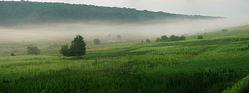 Landscape, Fields HD wallpaper