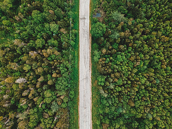 Nature, Trees, View From Above, Road, Forest, Wires, Wire HD wallpaper