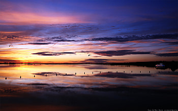 Altmuehlsee, nature, dark, lake, sunrise HD wallpaper