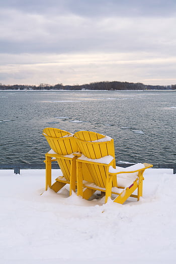 Two yellow Muskoka chairs covered in snow overlooking a serene Lake Ontario in Toronto. HD phone wallpaper