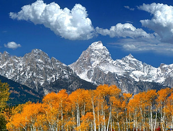 Nature Beauty , digital, beauties HD wallpaper