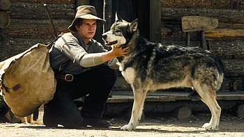 White Fang (Movie), White Fang, , Hintergrnde HD wallpaper