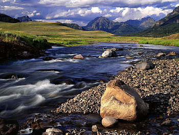 Nature, Stones, Greens, Day, Mountain River HD wallpaper