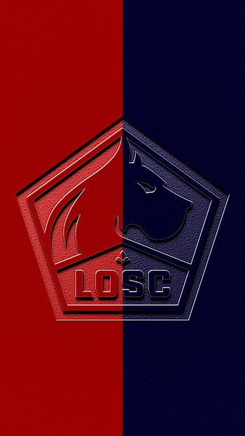 Lille LOSC, Fondos, Francia, Movil HD phone wallpaper