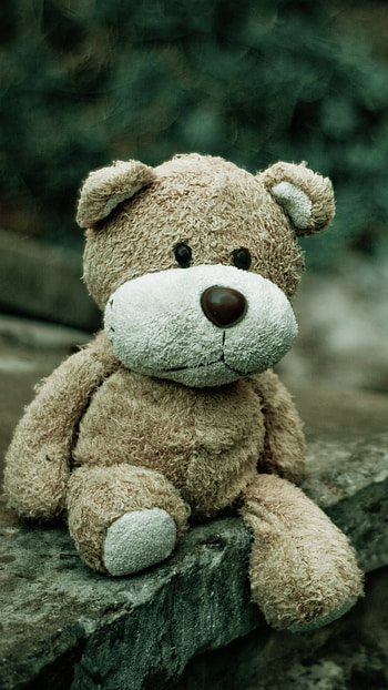 Teddy Bear Wale, Sad Teddy, Sitting HD phone wallpaper