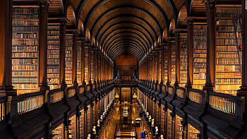 Library . Magical Library , Old Library and Edwardian Library, Library Laptop HD wallpaper