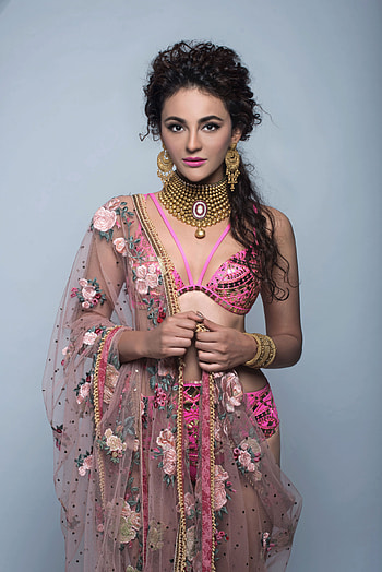 Seerat Kapoor, head, sari, Telugu actress HD phone wallpaper