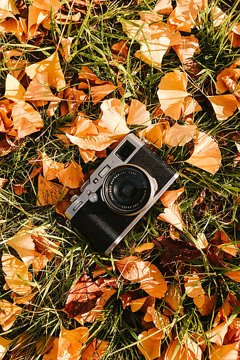 Grass, Leaves, Technologies, Technology, Camera HD phone wallpaper