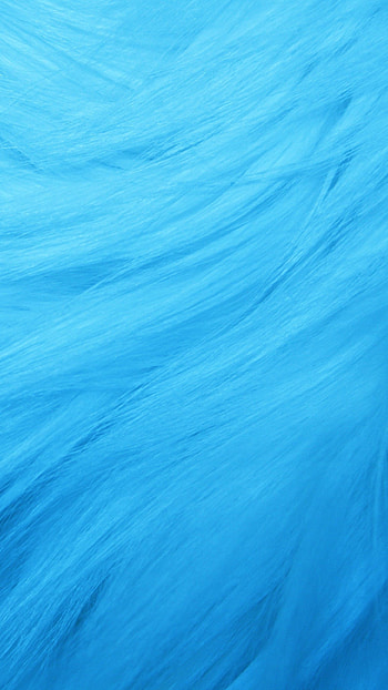 Plain, Blue Texture, Blue Color, blue, color, background HD phone wallpaper