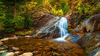 Fall foliage with waterfall, Colorado, leaves, creek, autumn, trees, colors, usa HD wallpaper