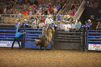 Scoring in bull riding, Technical perspective, Rodeo judges, Riding technique HD wallpaper
