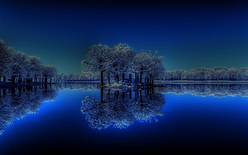 Trees- Lake, night, trees, Lake, sky HD wallpaper
