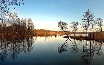 Nature, Trees, Sky, Autumn, Lake, Reflection HD wallpaper