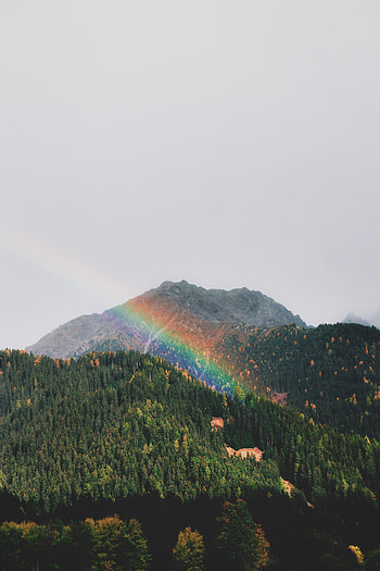 Landscape, Nature, Trees, Mountains, Rainbow, Forest HD phone wallpaper