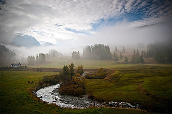 Morning has broken, river, landscapes, dawn, foggy, forest HD wallpaper