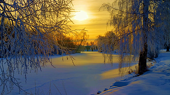 Frozen river in Sweden, winter, snow, trees, landscape, forest, ice, sunset HD wallpaper