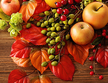 Autumn Apples, apples, leaves, Autumn, stillife HD wallpaper