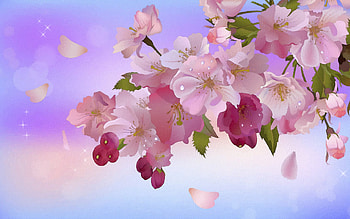 Plants, Flowers HD wallpaper