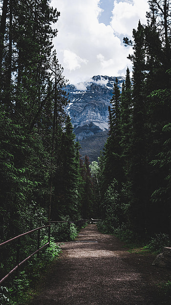 Nature, Trees, Mountains, Clouds, Snow, Road, Forest HD phone wallpaper
