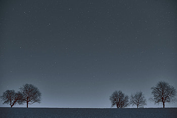 Trees, Stars, Night, Horizon, Dark HD wallpaper