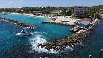 Ocean encounters, Lions Dive & Sunscape Resort, Tauchcenter Padi Adventures, Curacao HD wallpaper
