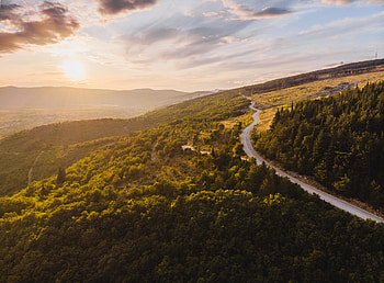 Landscape, greenfield, aerial view, tree, nature HD wallpaper