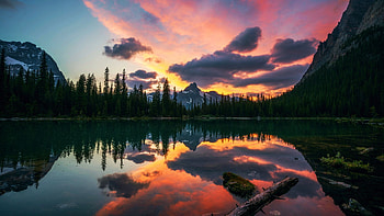 Sunset Reflections at Lake O'Hara, Yoho National Park, british columbia, trees, clouds, colors, sky, canada, water, reflections HD wallpaper