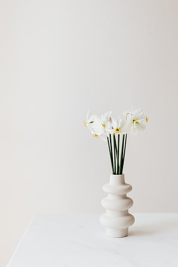 Elegant white narcissus flowers in a sculptural vase on a light background. HD phone wallpaper