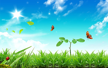 Landscape, Grass, Sky, Sun HD wallpaper