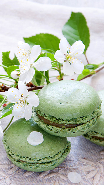 Pistachio macaron , 6 plus, Nutty and sweet, French pastry HD phone wallpaper