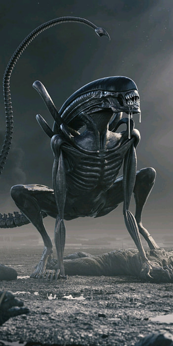 Xenomorph, survie, rip, alien HD phone wallpaper