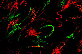 Black, Red, Green Background Stock - Public . HD wallpaper