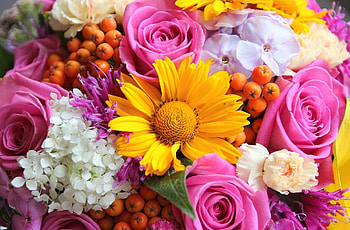 Flowers, Roses, Gerberas, Close-Up, Bouquet, Rowan, Phlox HD wallpaper