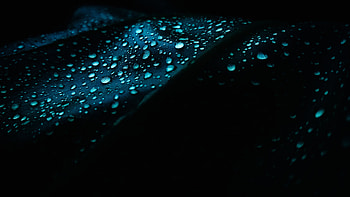 Leaf Dew Drops Droplet , leaf, dew, drops, nature HD wallpaper