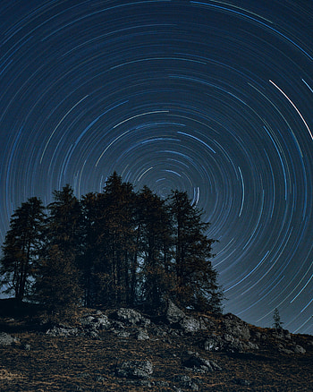 Trees, Night, Dark, Starry Sky, Long Exposure, Rotation HD phone wallpaper
