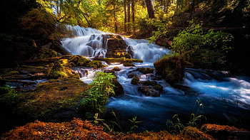 Pearsony Falls, near Prospect, Oregon, trees, river, forest, rocks, usa HD wallpaper