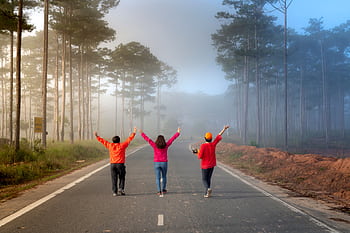 Three people walk arm-in-arm on a foggy forest road, creating a serene and joyful mood. HD wallpaper