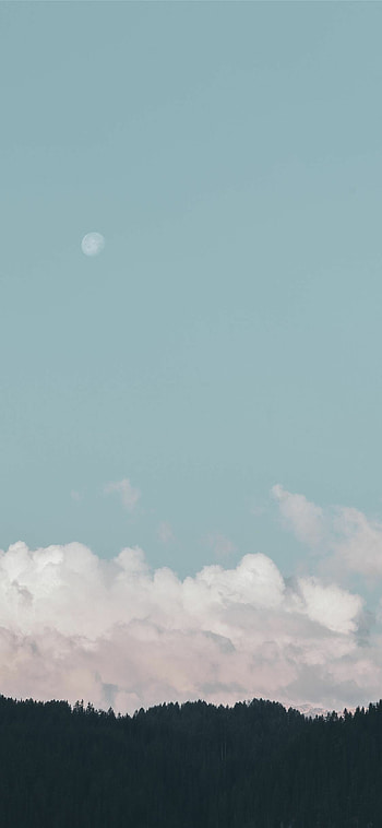 Pastel clouds, Enchanting forest, Moonlit sky, Dreamy HD phone wallpaper