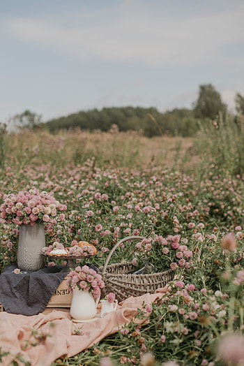 Flowers, Bouquets, Field, Clover, Wild HD phone wallpaper