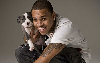 Chris Brown, 2016 , Artistic background HD wallpaper