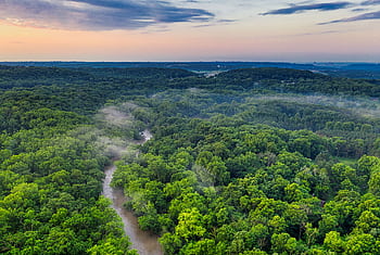 Scenic aerial view of a lush green forest with a river and mist at sunset, showcasing nature's beauty. HD wallpaper