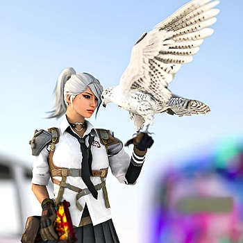 Pubg girl, sky, feather HD phone wallpaper