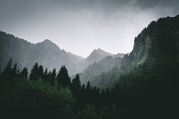 Landscape, Nature, Mountains, Forest, Fog HD wallpaper