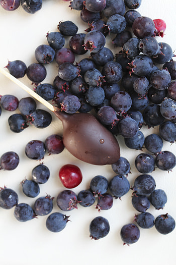 Blueberries, drops, chocolate lollipop, fresh HD phone wallpaper