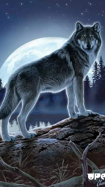 Wolf, Wolf Wild Painting HD phone wallpaper