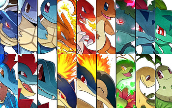 Day Favorite Starter Pokemon I love almost all the starters, but i choose the first and second generation, especially Charmander and Cyndaquile HD wallpaper