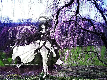Ghostly Warrior, anime, ghost, warrior, sakura HD wallpaper